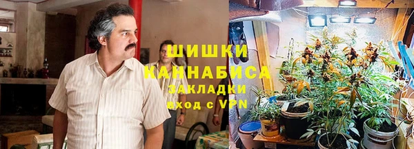 стафф Аркадак