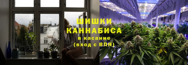 прущие крисы Армянск