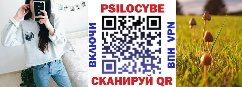 Псилоцибиновые грибы мухоморы купить наркотик Малоархангельск